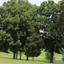 img_0405_36356267003_o