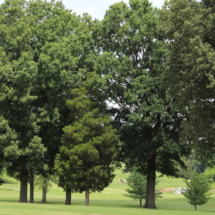 img_0406_36998961872_o