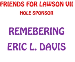 HOLE-DAVIS